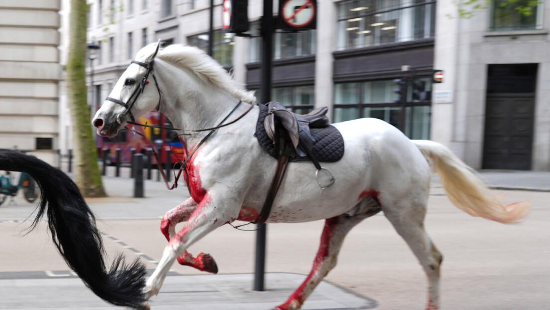 Коњи британске коњице побегли са вежбе, повређени и крвави јуре центром Лондона (ВИДЕО)
