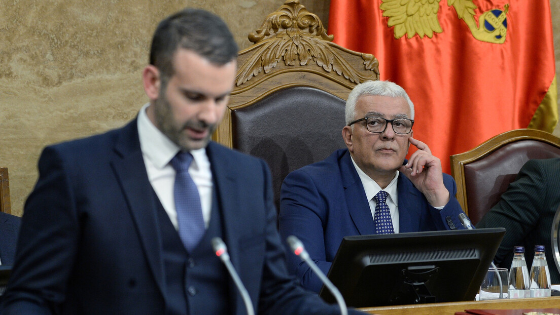 Мандић: Гласањем за резолуцију о Сребреници Црна Гора би окривила цео српски народ