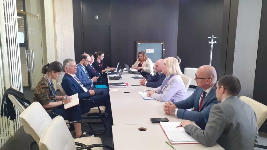 Delegacija Srbije razgovarala sa francuskim i rumunskim kolegama u PS NATO