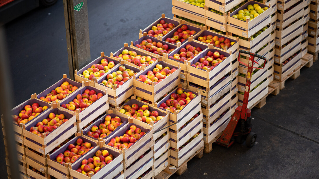 Rusi najviše kupuju naše jabuke: Posle Srbije najveći izvoznici Azerbejdžan i Kina