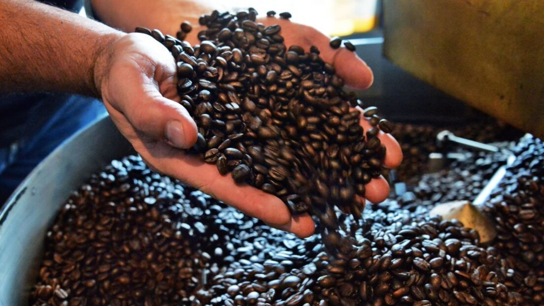 Šta su inspektori otkrili u kafi: Iz šoljice pijemo i prženi hrastov žir