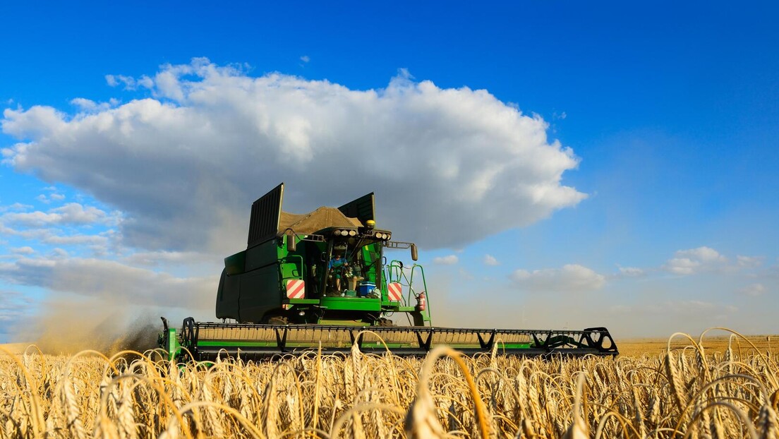 Otkup pšenice za robne rezerve: Šta ova najava znači za poljoprivrednike, a šta za državu