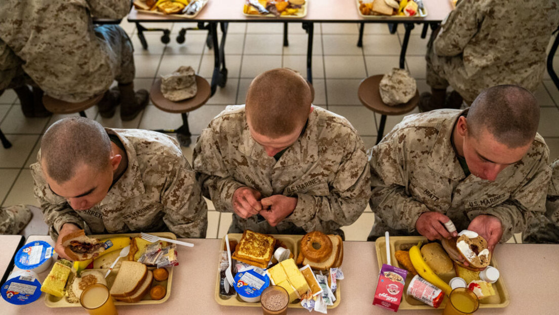 Војска заморчића: Пентагон би да храни трупе експерименталним месом због климатских промена