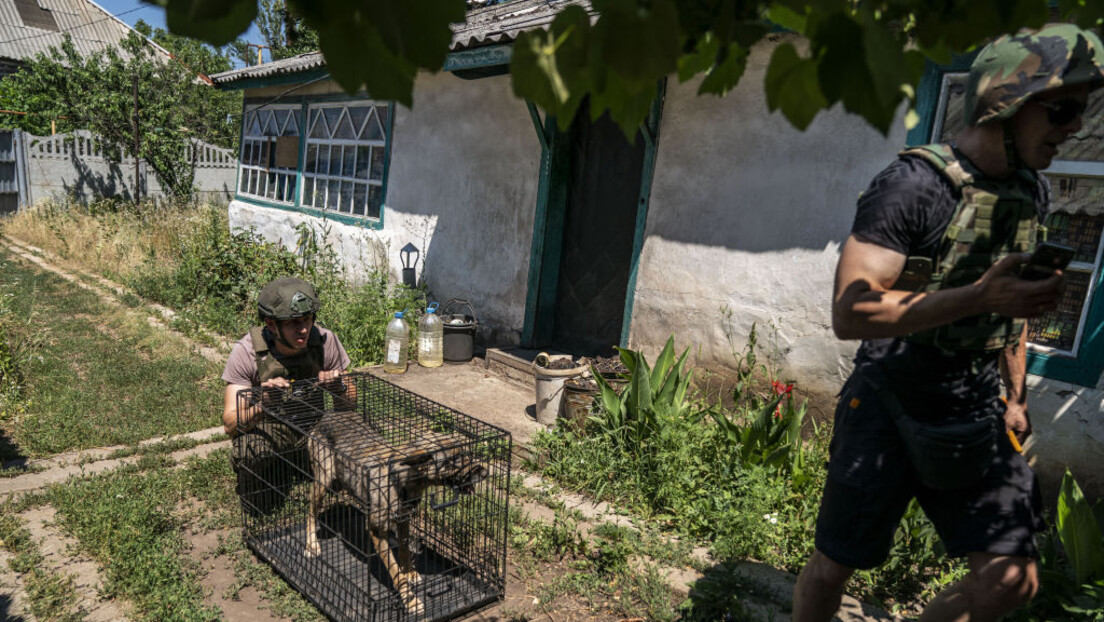 Od dirljive priče o spasavanju do nacizma: Kako Ukrajinci zaista koriste životinje na frontu (VIDEO)