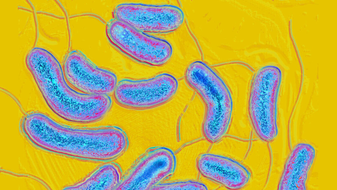 Kолера представља озбиљну претњу по свет: Одговор БРИКС-а на биопретње и патогене