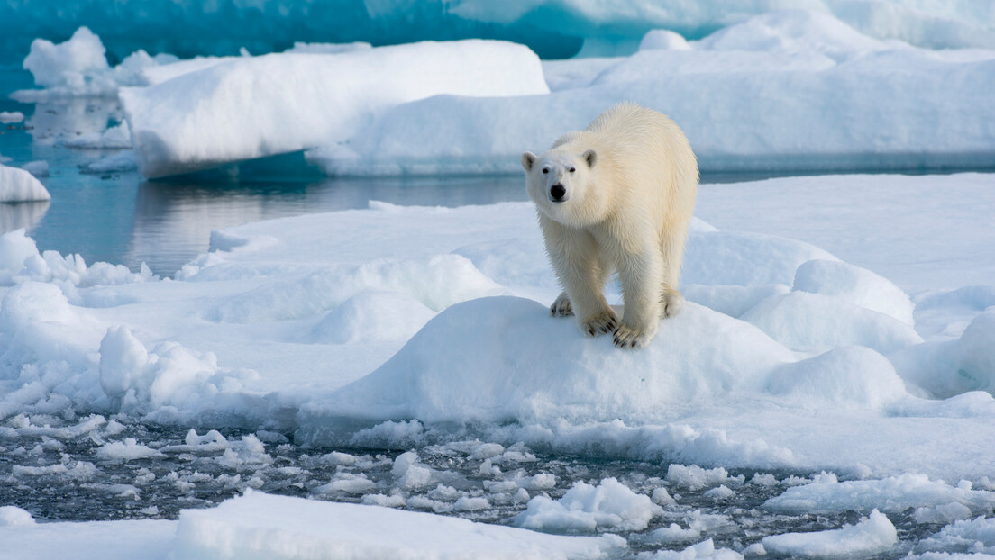 Зашто Американци јуришају на Арктик: Ново поприште сукоба великих сила