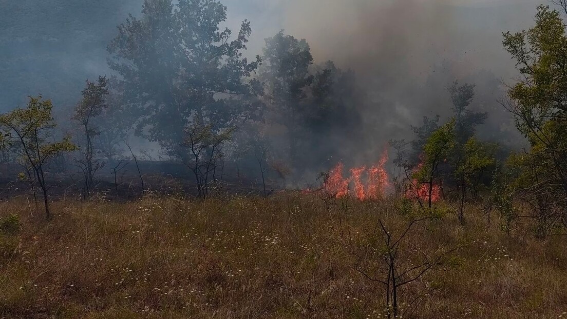 Šumski požar u kanjonu reke Tare stavljen pod kontrolu