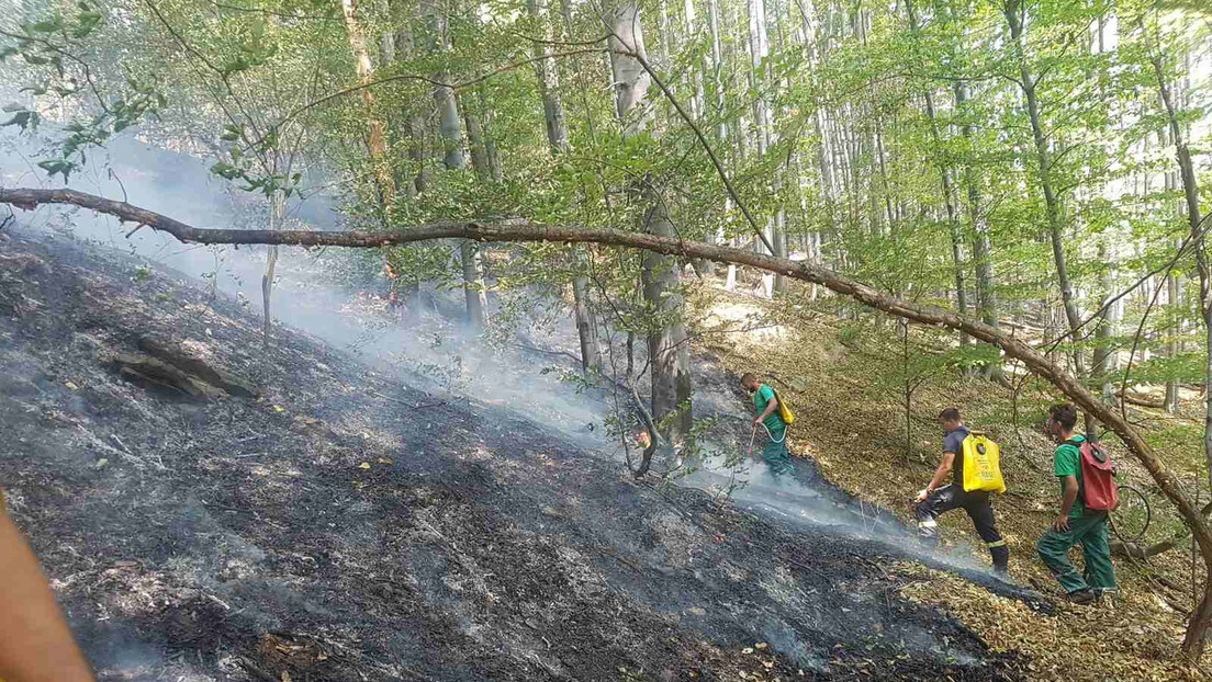 Шири се пожар у Националном парку "Дрина": Ватра све ближе кућама