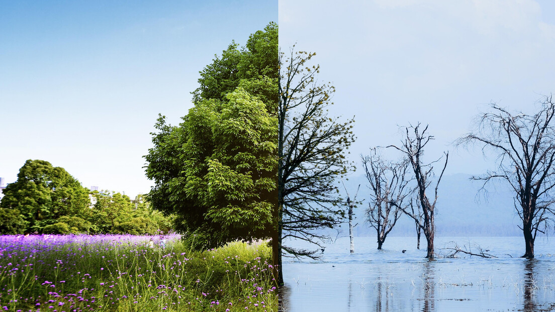 Više od polovine sveta će osetiti ekstreman uticaj klimatskih promena u narednih 20 godina