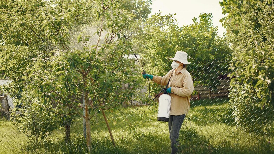 Pesticidi haraju po domovima - oko 200 otkriveno u kućama širom Evrope, potvrđuje studija