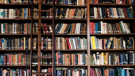 Literaturom protiv izvršitelja