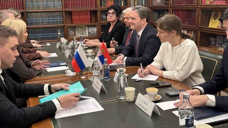 Selaković se u Moskvi susreo sa ruskom ministarkom kulture Olgom Ljubimovom