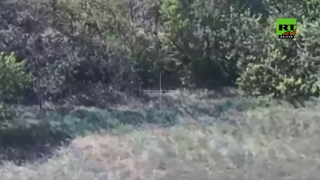 Терористичке акције Кијева се настављају: Спречен покушај продора Украјинаца у Курску област