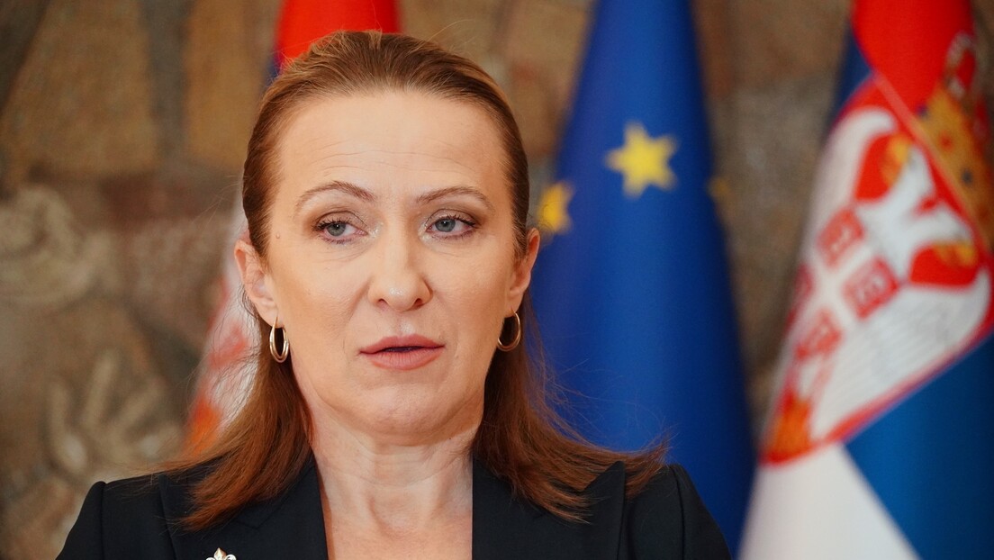 Ministarstvo: Koje NVO će proveravati biračke spiskove u Srbiji