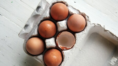 Naučno potvrđeno: Jaja imaju manju šansu da se razbiju ako padnu na stranu