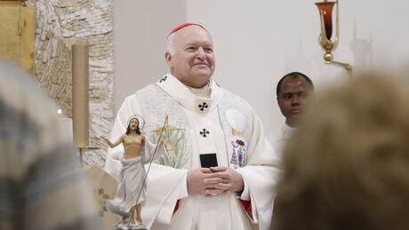 Београдски надбискуп открио шта га је питао нови папа у вези са православљем