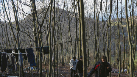 Pucnjava u migrantskom kampu kod Sarajeva: Šestoro povređenih, policija traga za napadačima