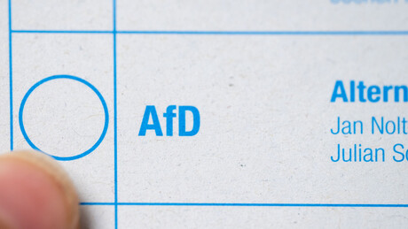 Nemci bi da oblate AFD: Sve više privlači ekstremiste