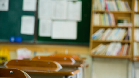 Почиње надокнада наставе и на Шумарском факултету