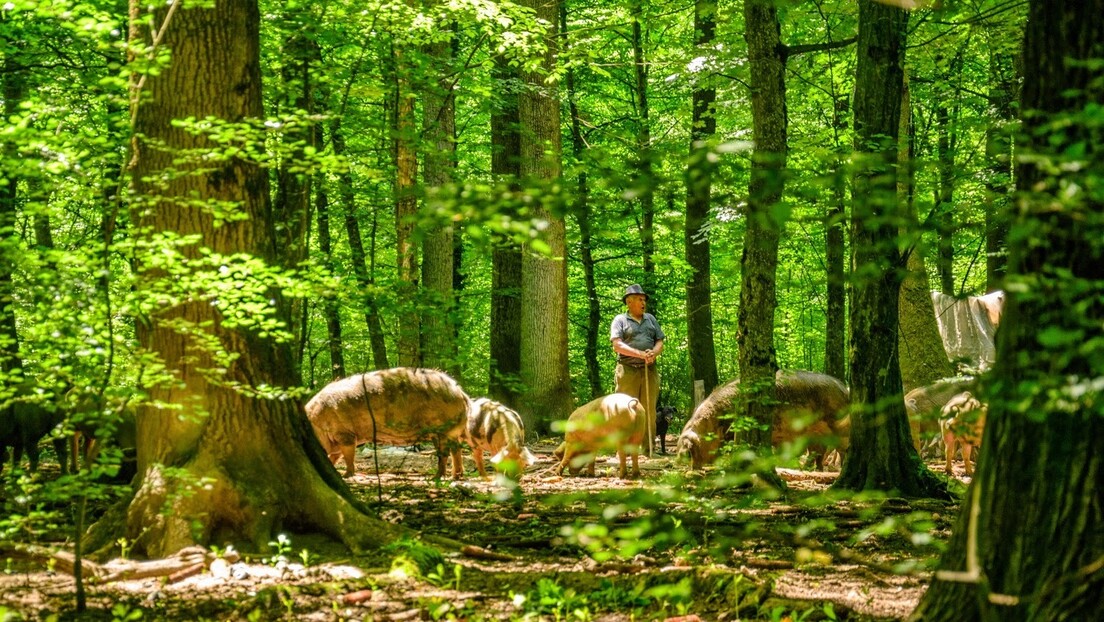 Vremenska prognoza: Leto se vraća na velika vrata, temperature ponovo u crvenom