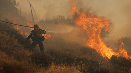 Велики пожар на Тасосу: Гори борова шума, један хотел евакуисан из предострожности
