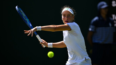 Штета – Теодора имала меч лопту, па остала без полуфинала Вимблдона