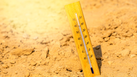 Kako visoke temperature ubrzavaju biološko starenje