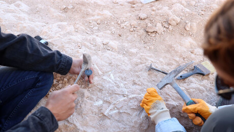 Ципеле за џинове пронађене код Хадријановог зида - откриће збуњује археологе (ФОТО)