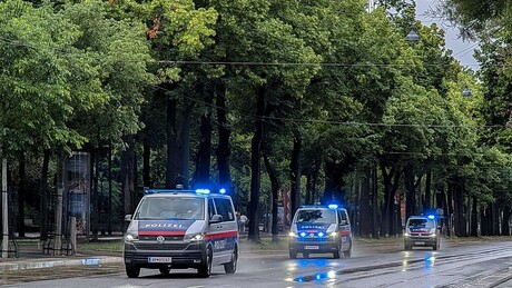 Racija na mestu nacističkog zločina: Na meti austrijske policije – antifašisti