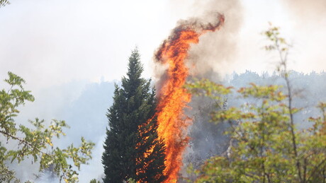 Срби и Руси: Заједничка борба против пожара (ВИДЕО)