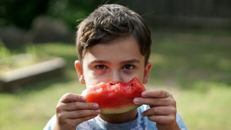 Да ли је воће стварно штетно за децу? Стручњаци одговарају на митове о "лошим шећерима"