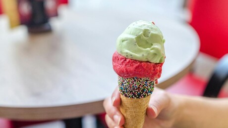 Mit ili bliska realnost: Potraga za sladoledom koji se ne topi