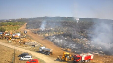 У Србији букти 181 пожар, МУП упозорава: На палите растиње