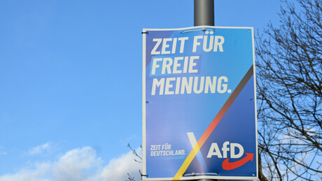AfD postala najpopularnija stranka u Nemačkoj: Koliko je pala podrška Mercu