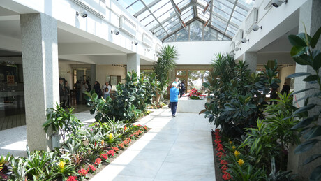 Бачен молотовљев коктел на Кућу цвећа: Осумњичени приведен