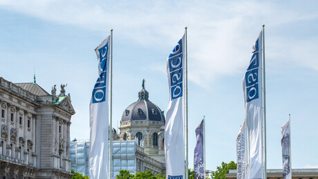 OEBS: Puno učešće svih zajednica važno za slobodne izbore