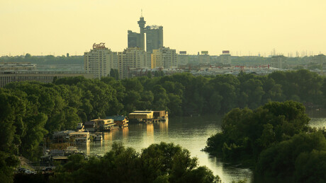 Температуре све више, дрвећа све мање: Београд за двадесет година остао без 10 одсто зеленила
