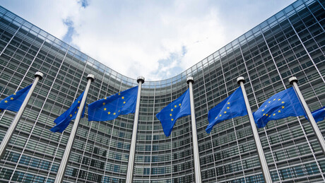 Италијанска европосланица писала Европском парламенту: Какве мере планирате против Приштине