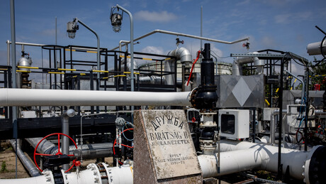 Захарова о нападу на "Дружбу": Не чуди нас реакција ЕУ, то је та чувена "европска солидарност"