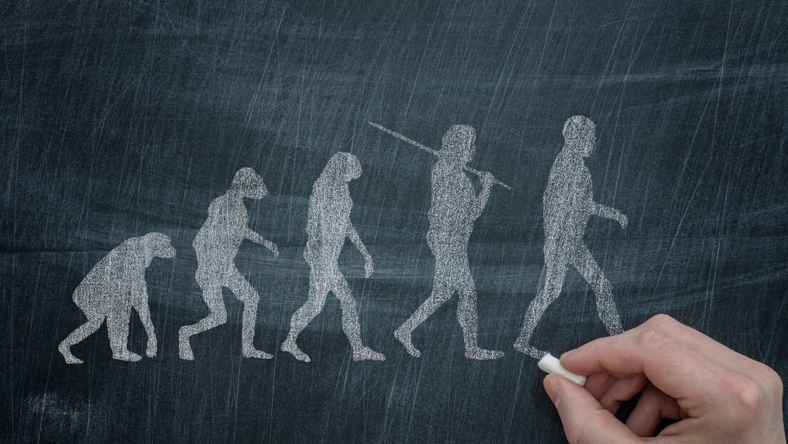 Ako je evolucija stvarna, zašto majmuni još uvek nisu postali ljudi? Evo šta kaže nauka
