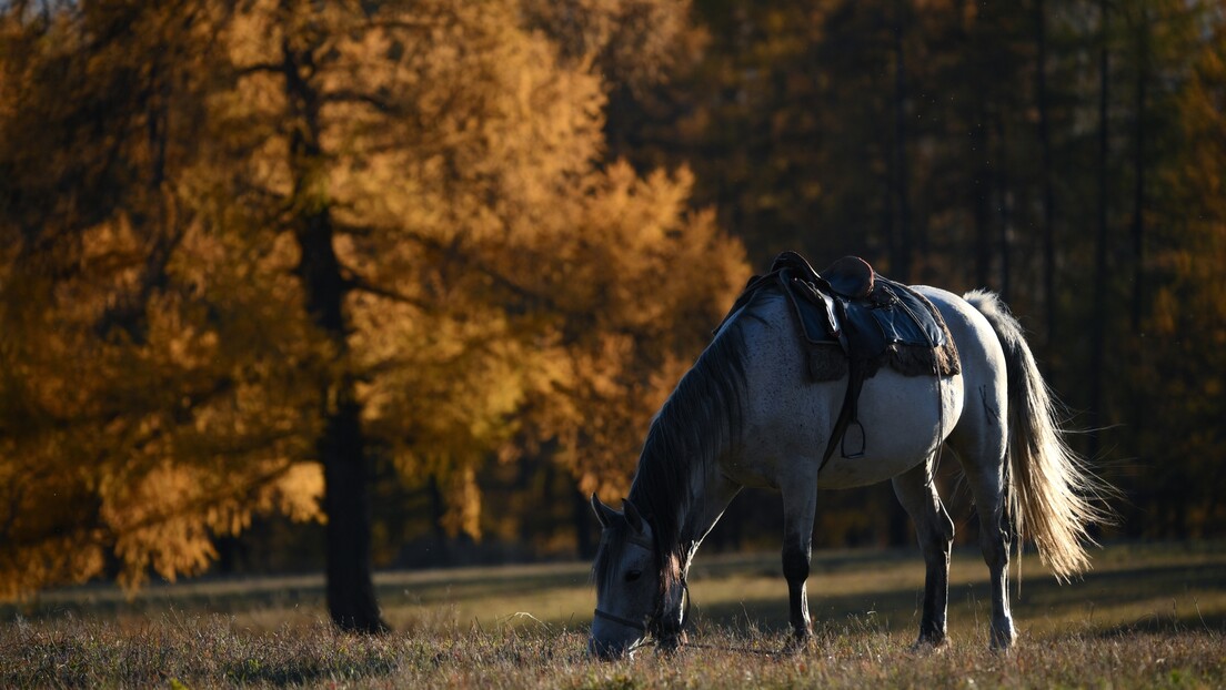 Ove destinacije u Rusiji nude potpuni ugođaj i uživanje u svim čarima zlatne jeseni (FOTO)