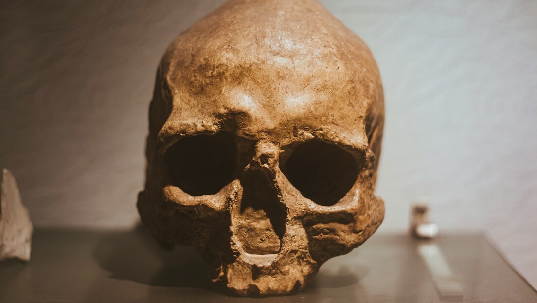 Lobanja stara milion godina menja razumevanje o evoluciji čoveka, tvrde naučnici