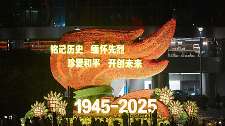 ШОС о Другом светском рату: Истина мора да се сачува, како се слично не би поновило