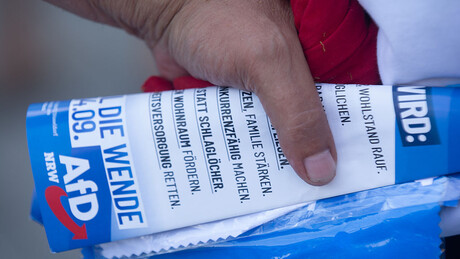 Niz smrtnih slučajeva u redovima AfD pred lokalne izbore