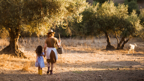 "Plave zone" - mesta  koja kriju tajnu dugovečnosti i dobrog zdravlja
