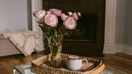 Цвеће у дому као природни лек: Снижава притисак, смирује и буди радост