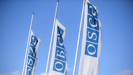 "Zabrinuti i uznemireni": Još jedno mlako saopštenje OEBS-a o progonu Srba na KiM