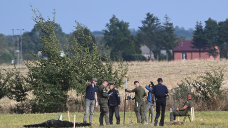 Операције под лажним заставама, од Буче до Пољске: Шарада европске банде кловнова