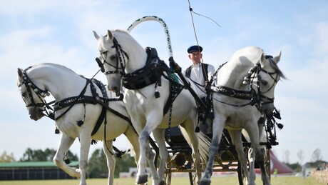 Ruska trojka: Od simbola transportnog sistema epohe Romanovih do prestižnog sporta