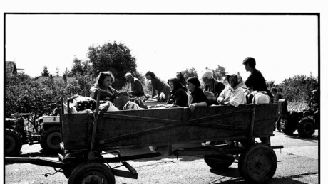 Svedočenje povređenih na Petrovačkoj cesti: Kad smo videli avione, sakrili smo decu pod traktor